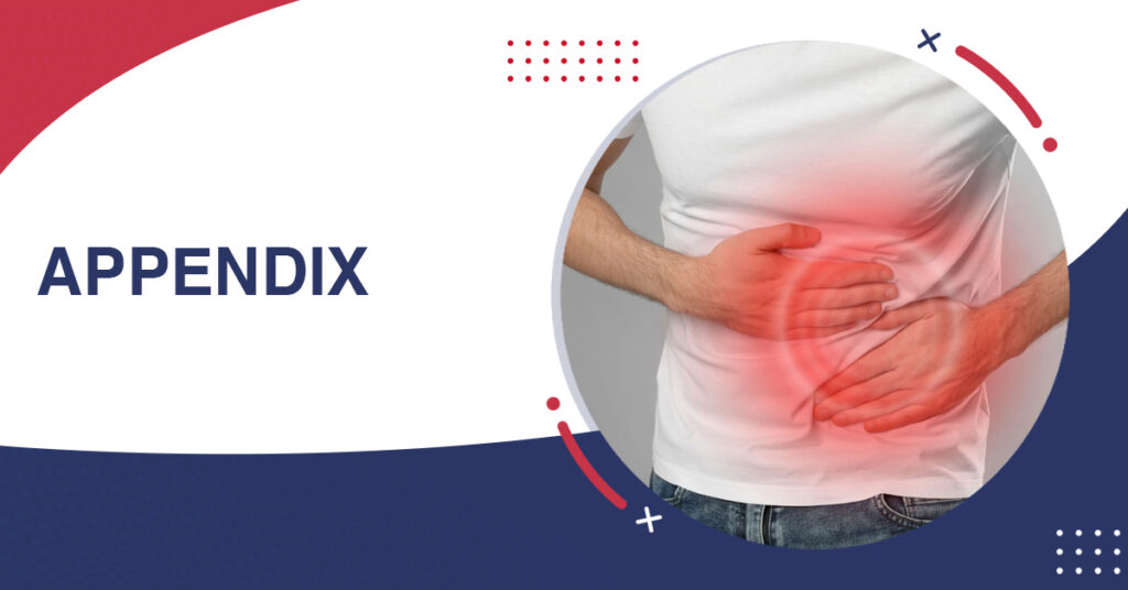 Appendix Removal Surgery